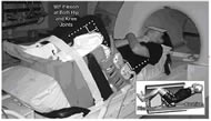 A subject in the simulated upright Sitting posture with close to 90º flexion at both the hip and knee joints in a MRI scanner and a schematic of the sitting apparatus. 4 pieces of foam were used to support the neck-trunk, buttock-thighs, and shanks. Air bladder imbedded between the body and a stiff rubber was used to apply a pressure load to the posterior side of the buttocks and thighs. 